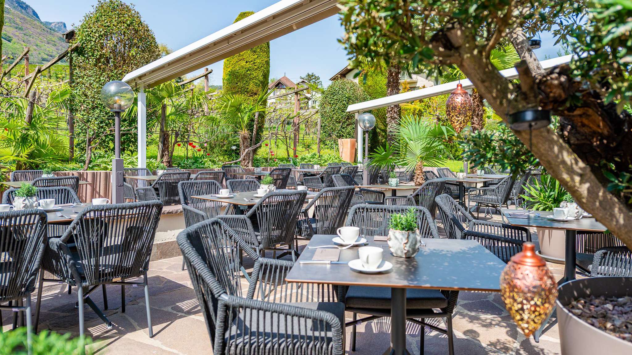 20240411-141838-_8004098