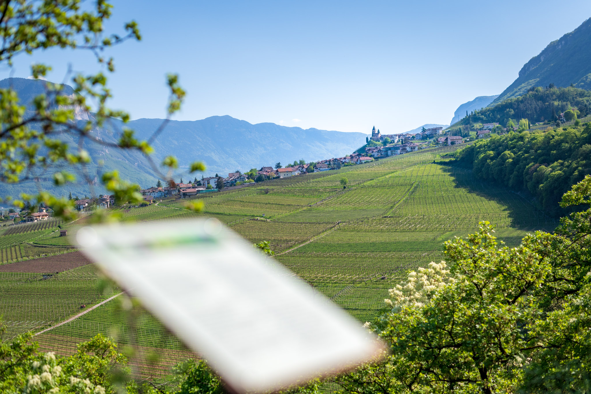 Sentiero Natura Viva